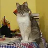 Отзыв от Роза Судакова